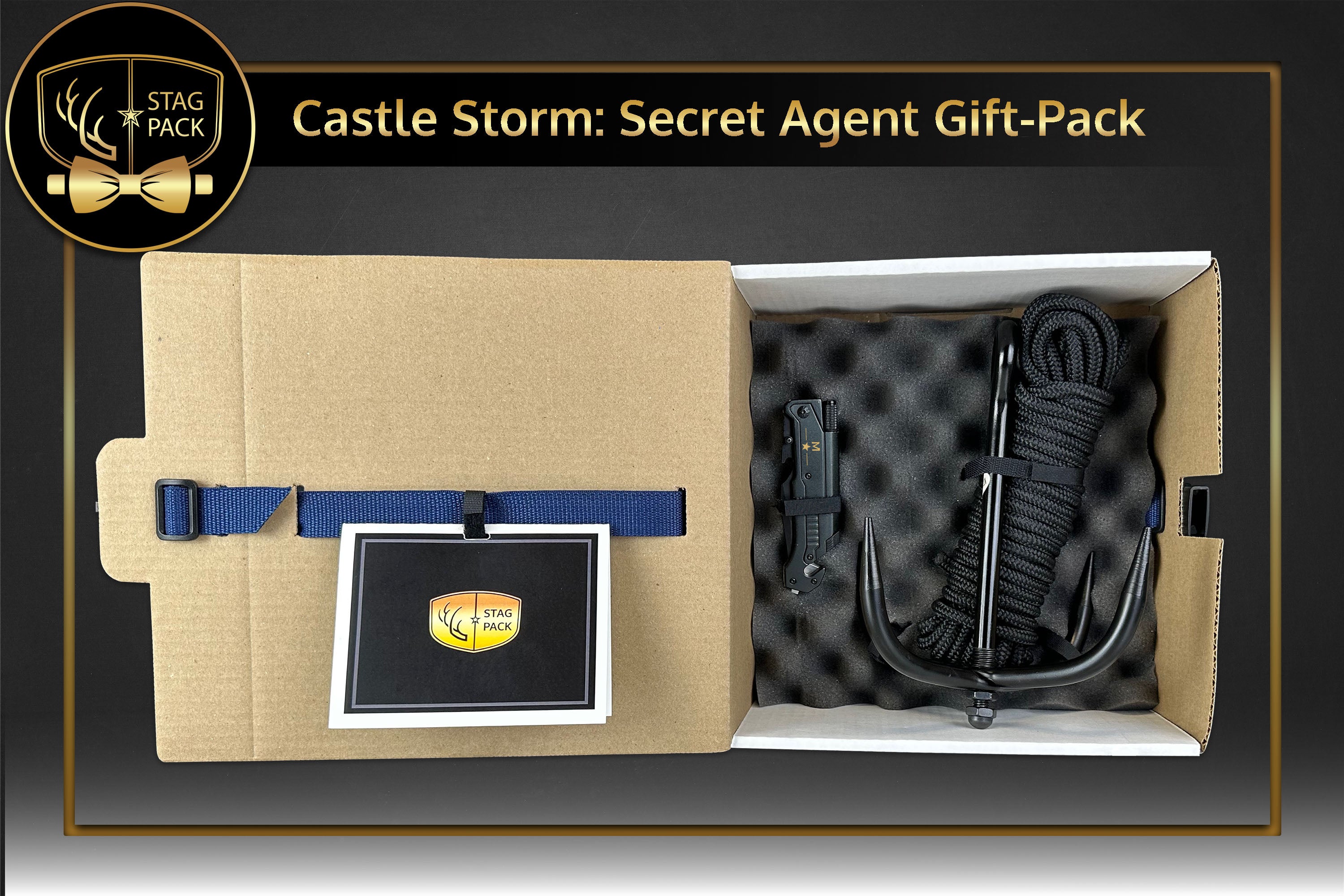 Castle Storm: Secret Agent Gift-Pack